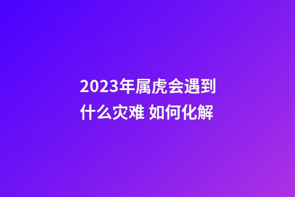 2023年属虎会遇到什么灾难 如何化解